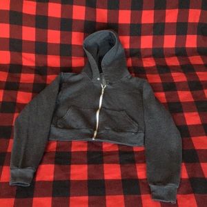 American Apparel Cropped Hoodie in Gray